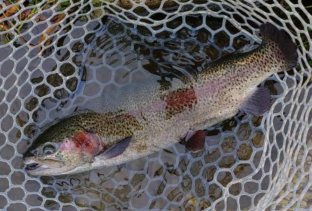 何かを掴めたのかな ～フィッシングパーク高島の泉～